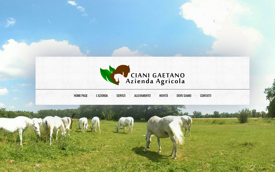 Realizzazione sito web istituzionale per la Ciani Gaetano Azienda Agricola srl